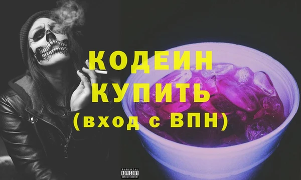 гидра Кодинск