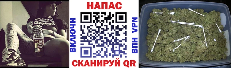 МАРИХУАНА планчик Богородицк